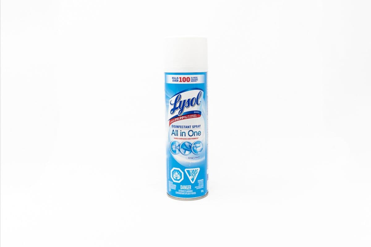 Lysol All-Purpose Disinfectant Spray (539 g)