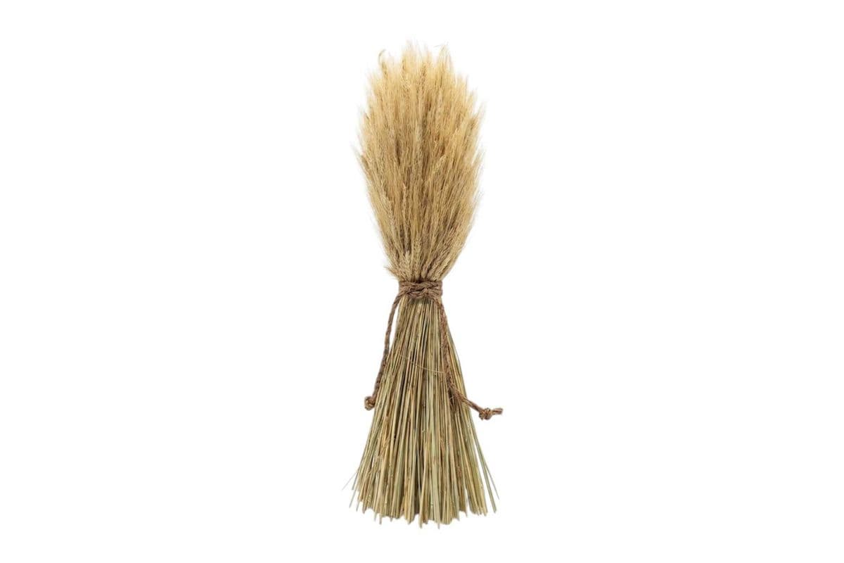 Dried Wheat - Large