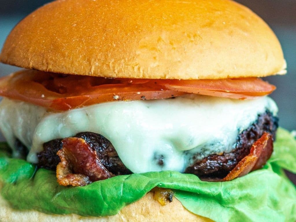Bison Burger