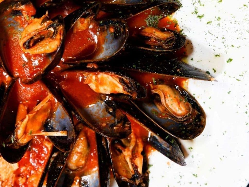 Steamed Mussels
