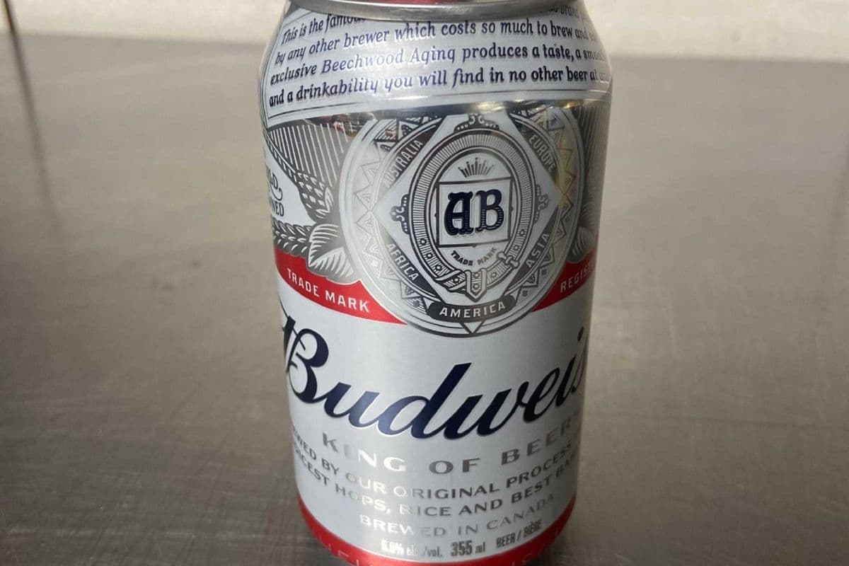 Budweiser Can (1 x 355 ml)