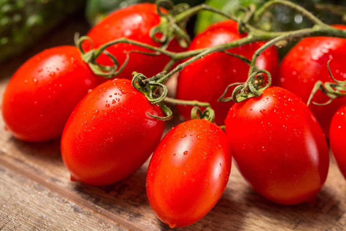 ROMA TOMATOES (1 LB)