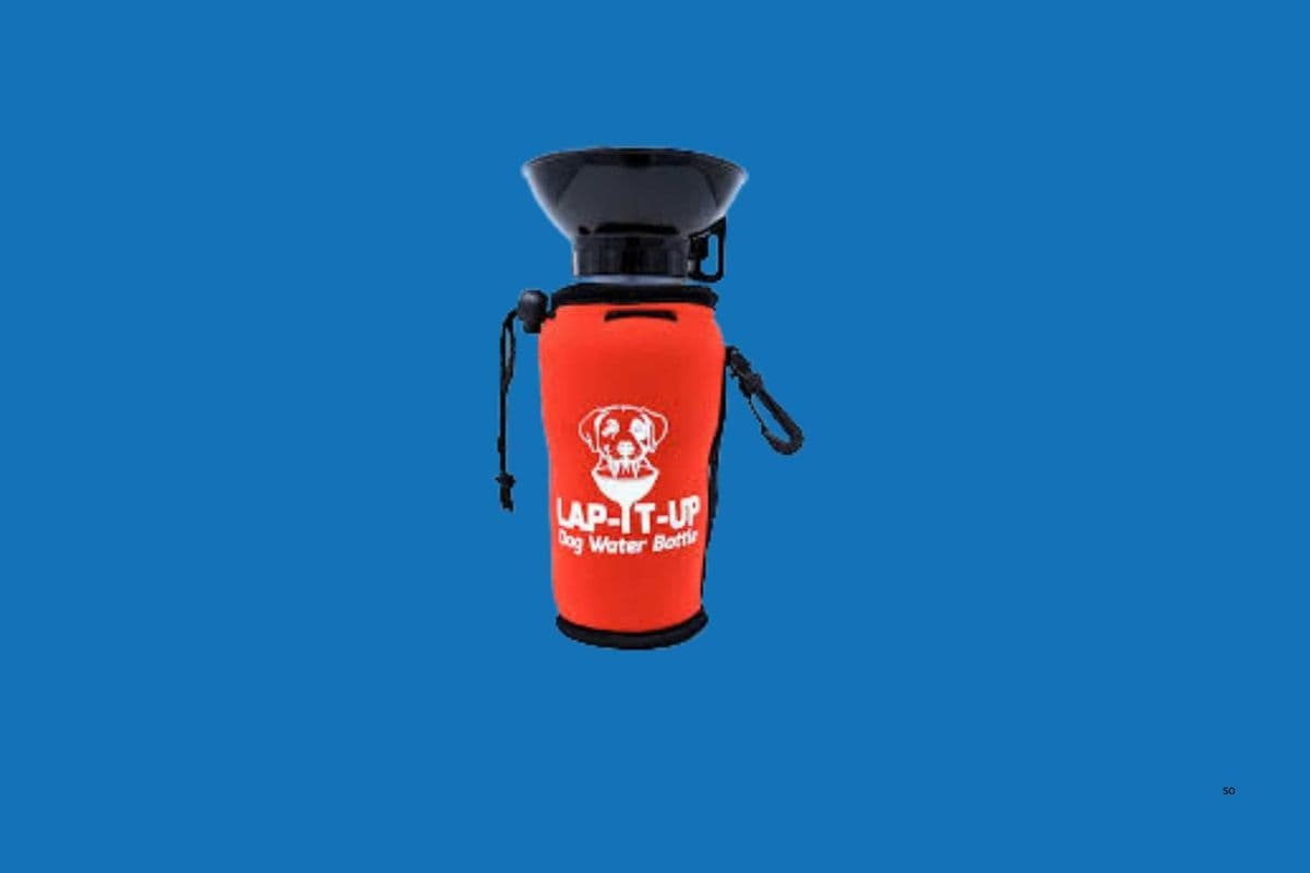 Lap It Up Dog Water Bottle