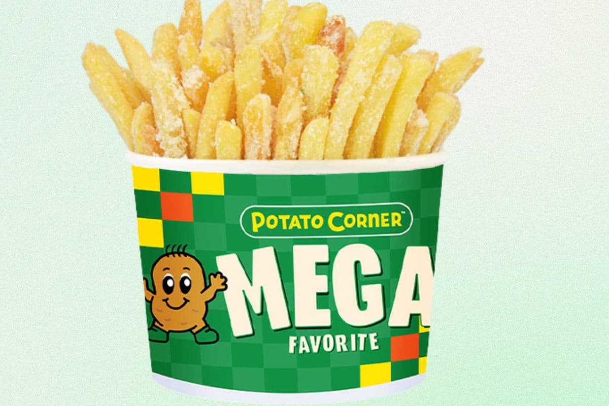 Mega Shoestring Fries