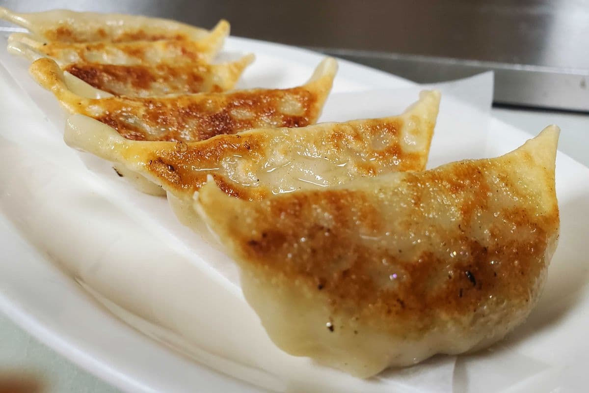 Gyoza