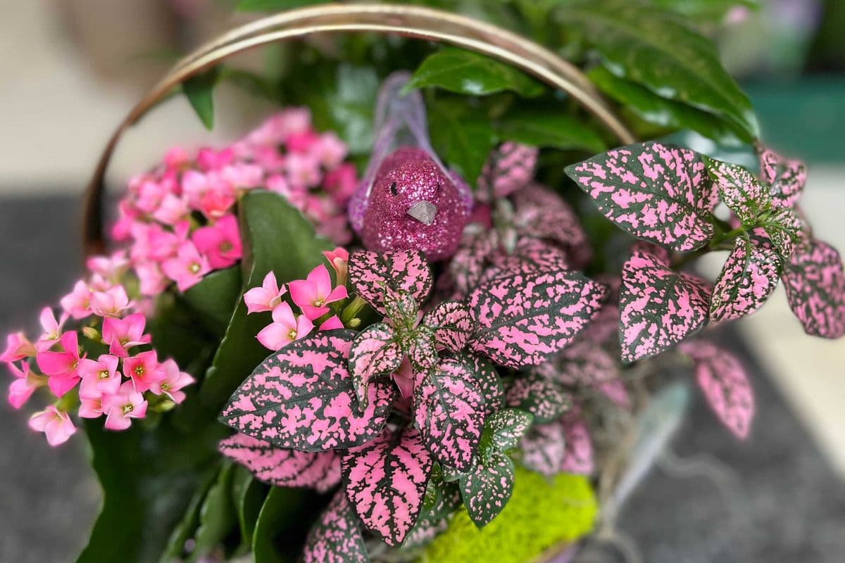 Seasonal Planter - Medium