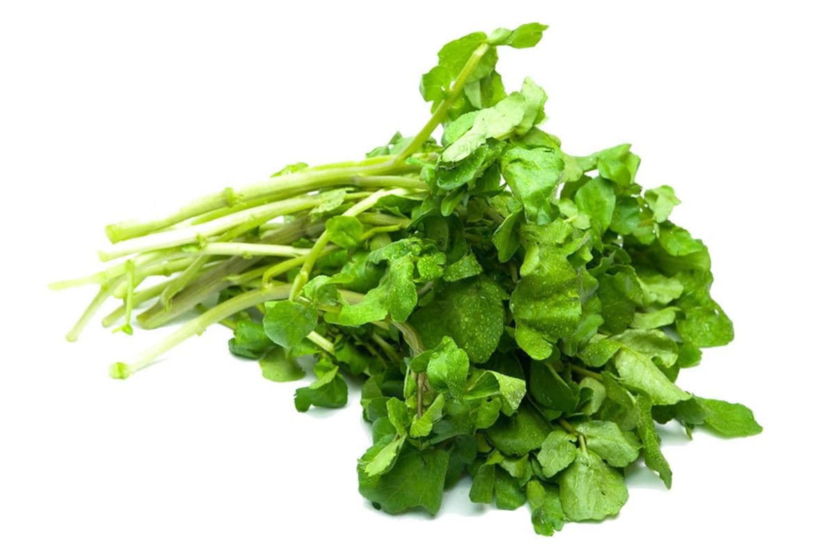 Choy Watercress (Each)