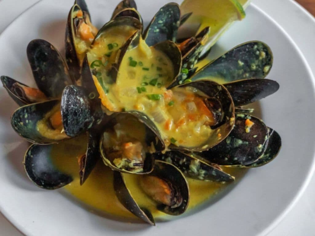 Mussels