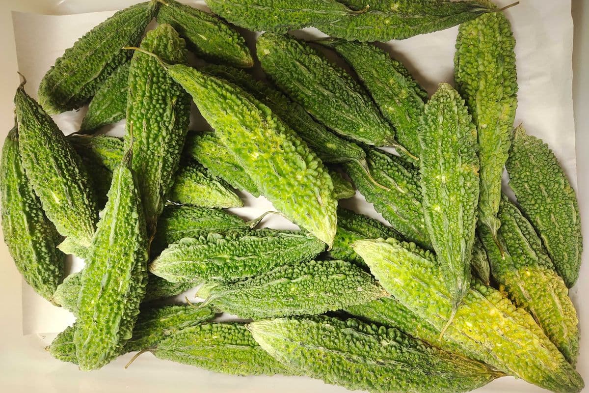 Indian Bitter Melon 2.49/lb (1 LB)