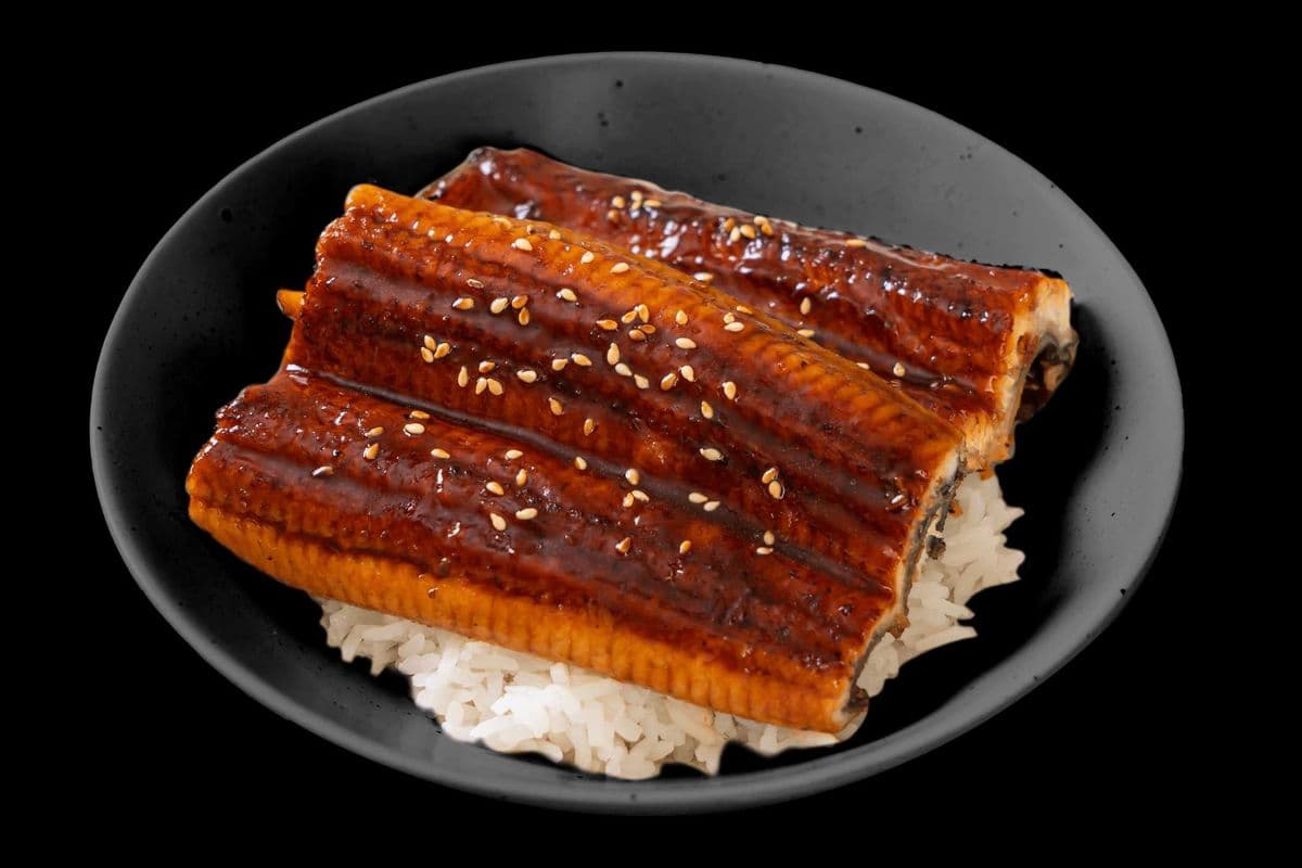 Unagi Donburi