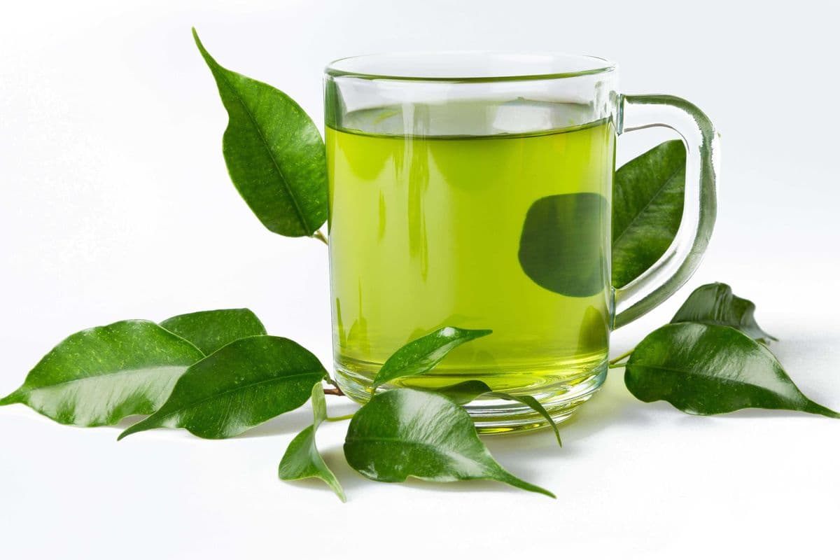 Hot Wintermleon Tea 熱紅茶 / 熱綠茶 (700 ml)