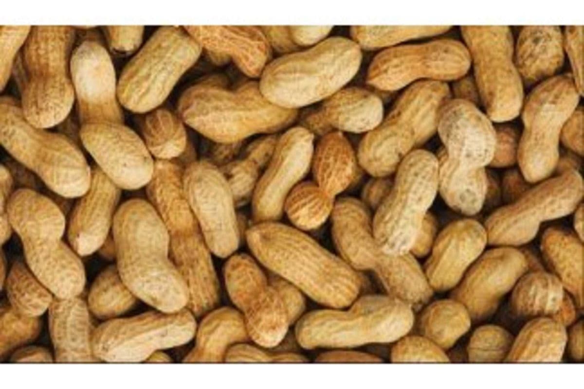 Peanuts, In-Shell (1100 gr)