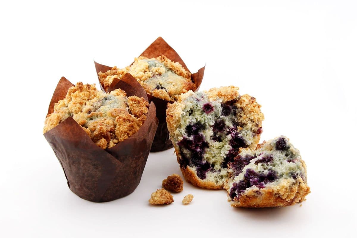 Wild Blueberry Muffin