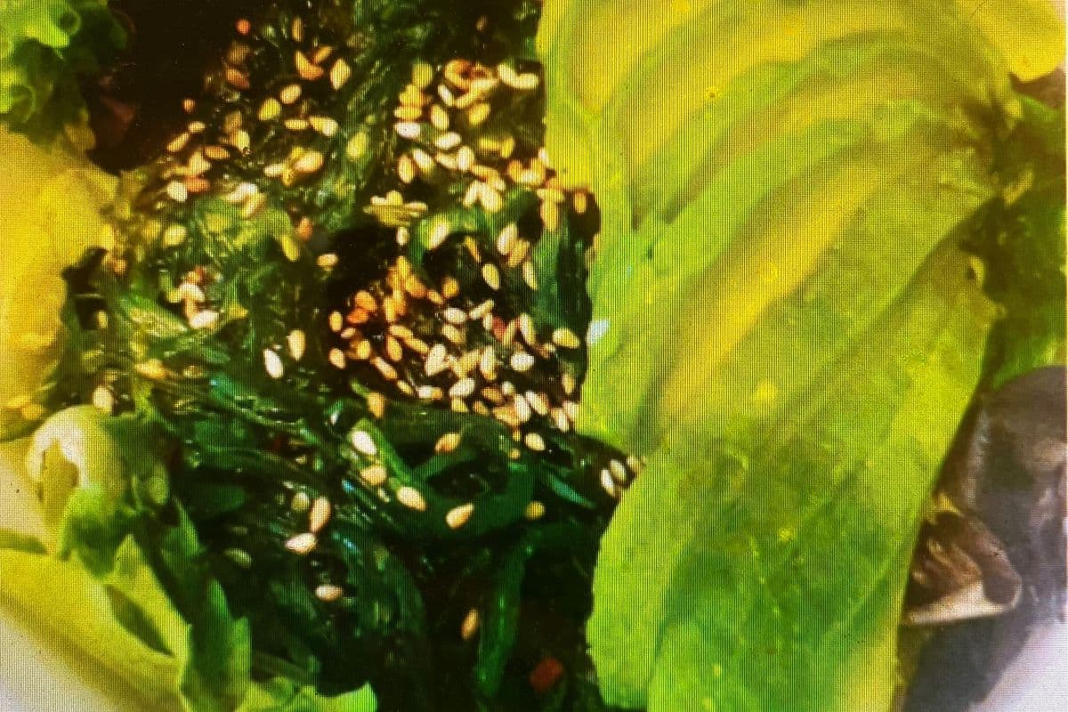 Salad (沙拉)