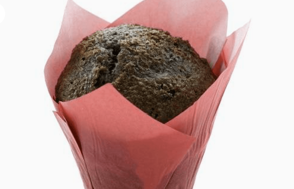 Muffin Citron et Pavot / Lemon Poppy Muffin