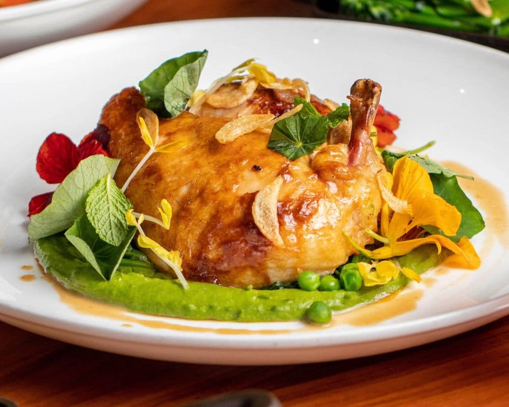 Free Range Chicken