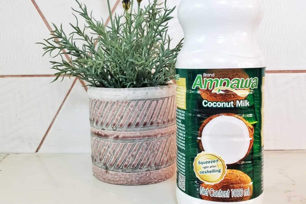 Ampawa Coconut Milk (1L)