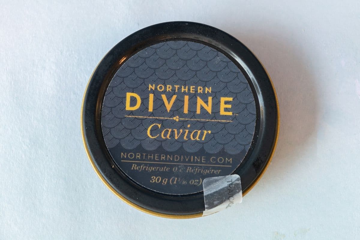 Northern Divine White Sturgeon Caviar (12g)