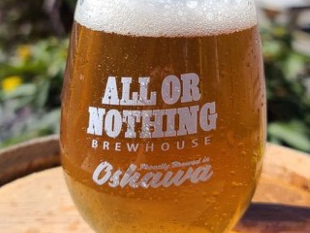 9 Oz Stemless Glass