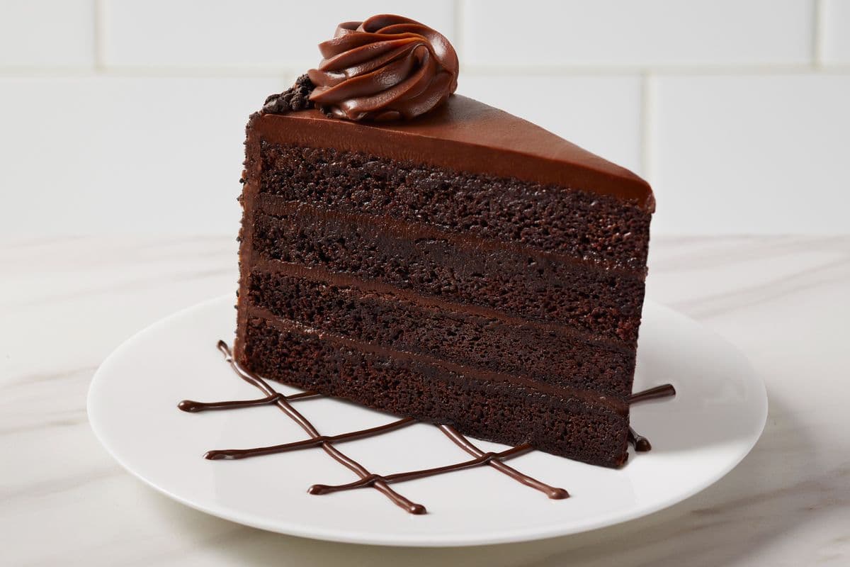Fudge Cake - Slice