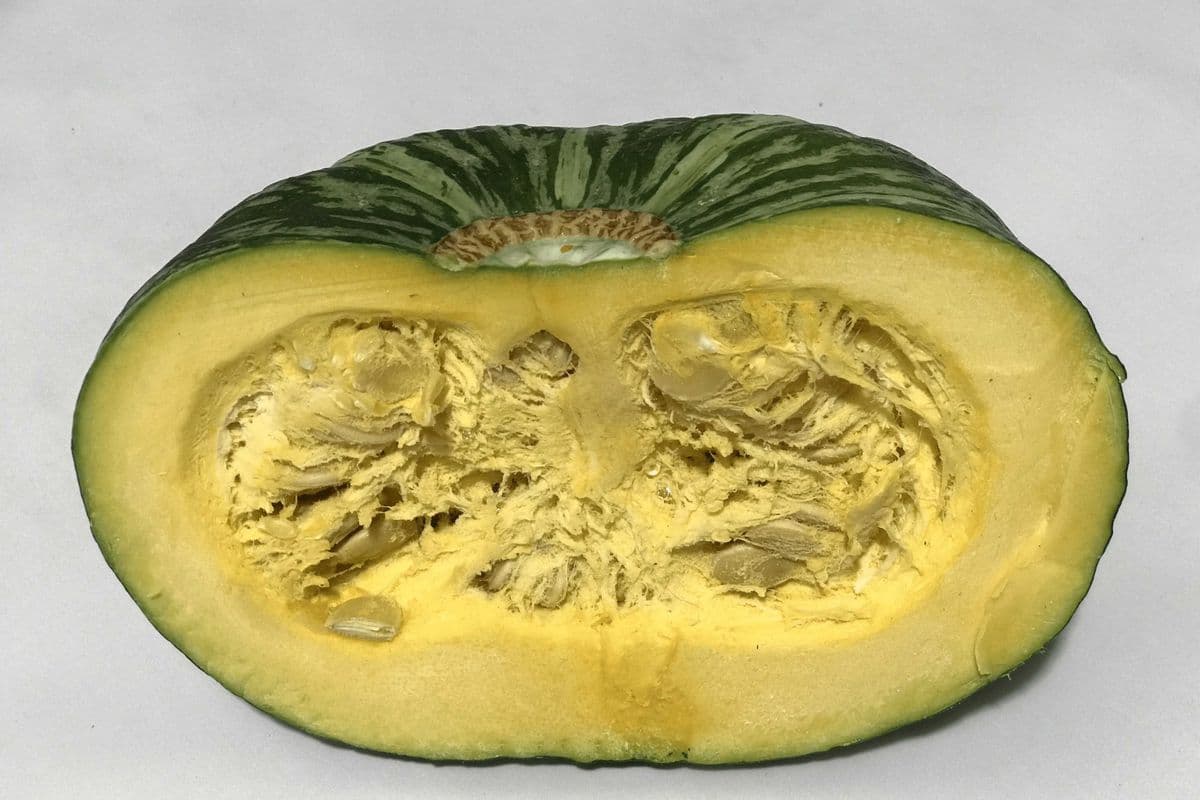 Butter Cup (EACH, 2.5lb)