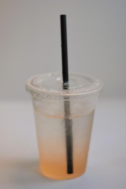 Hoochy Booch Kombucha 10 fl oz