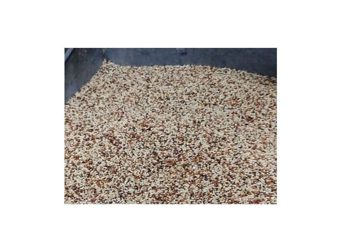Wild Bird Economy Seed (5 lb)