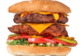 Mega Burger