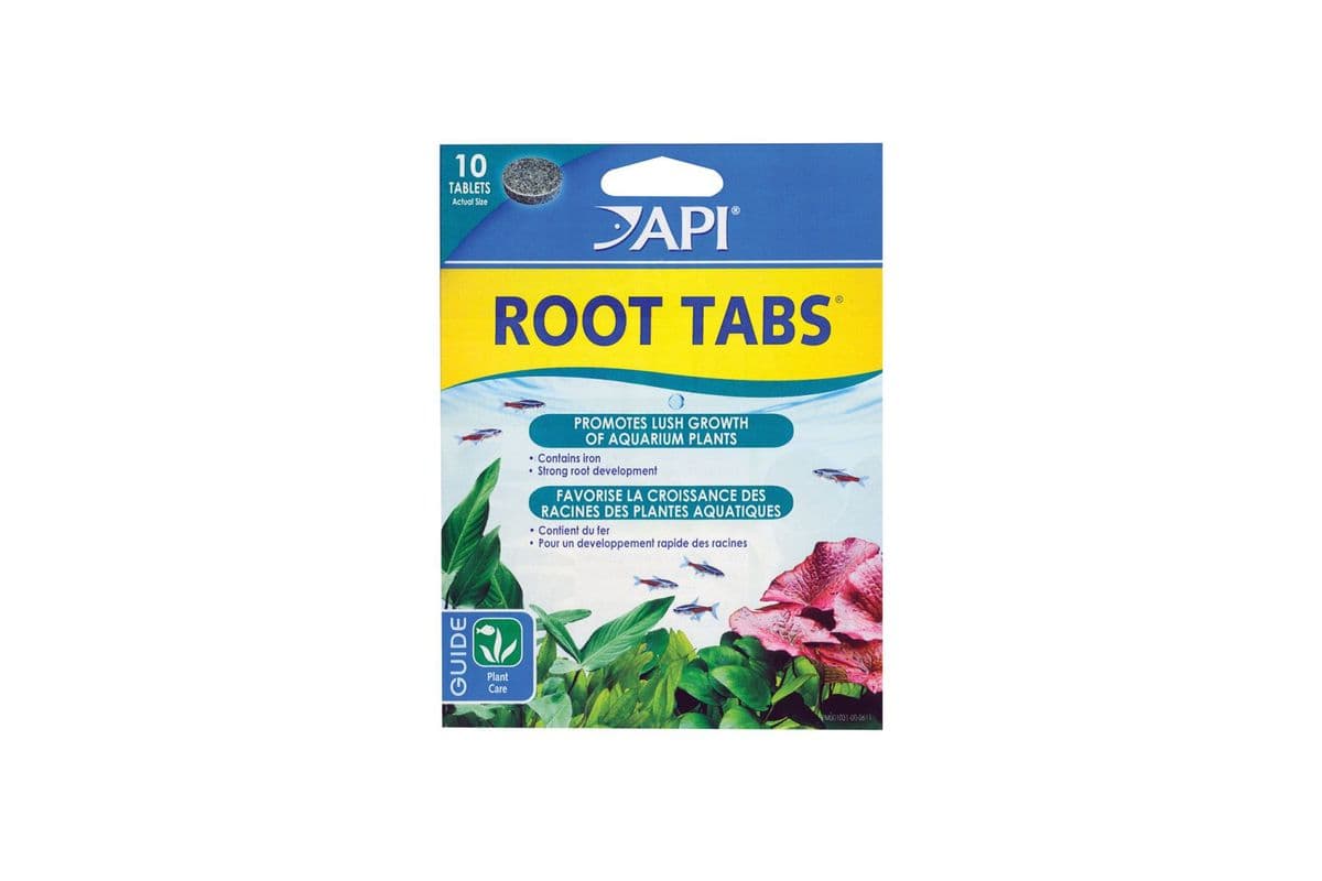 API Root Tabs - 10 pk