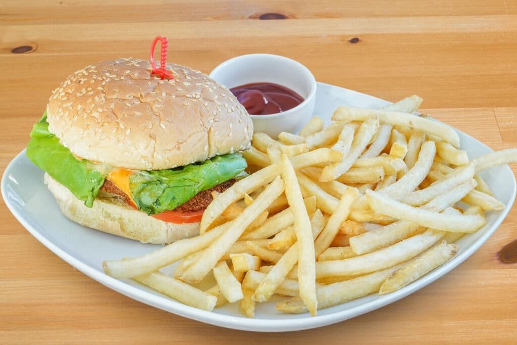 Beef or Chicken Burger