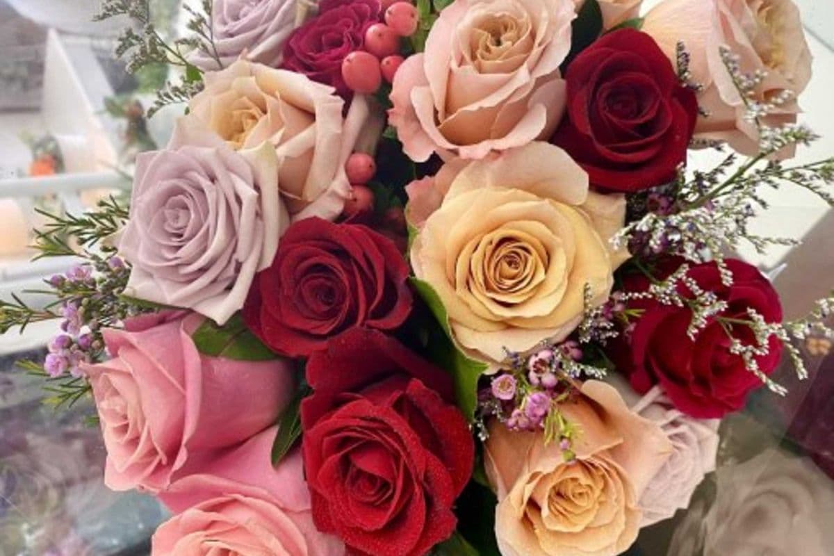 Twelve Assorted Roses Wrapped