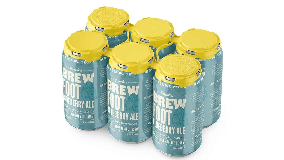 Brewfoot Blueberry Ale (6 cans)