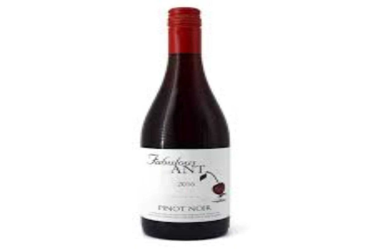 FABULOUS ANT - PINOT NOIR 750 ML (1 x 750 ML)
