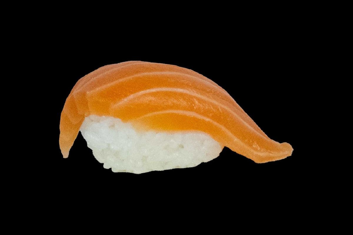 Salmon