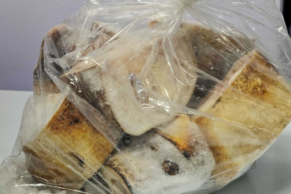 Pack of Cow Leg (4 lbs)