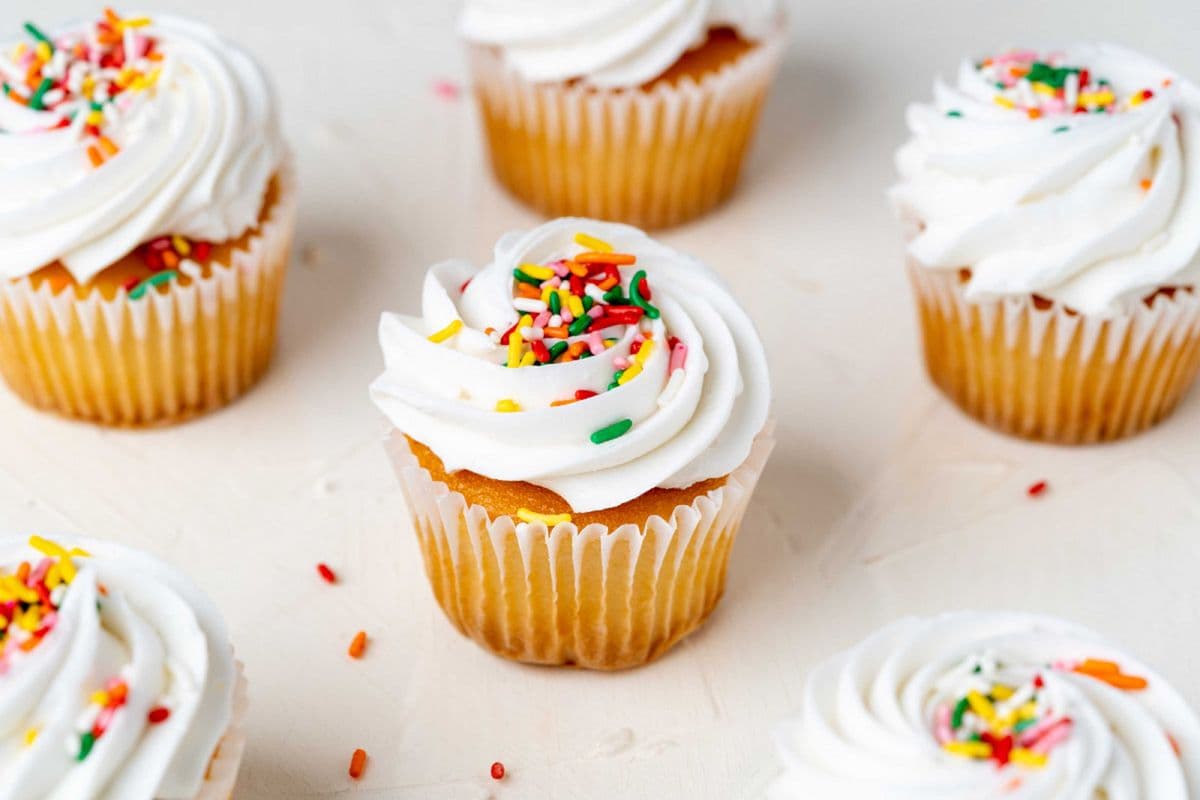 Vanilla cup-cake 6's