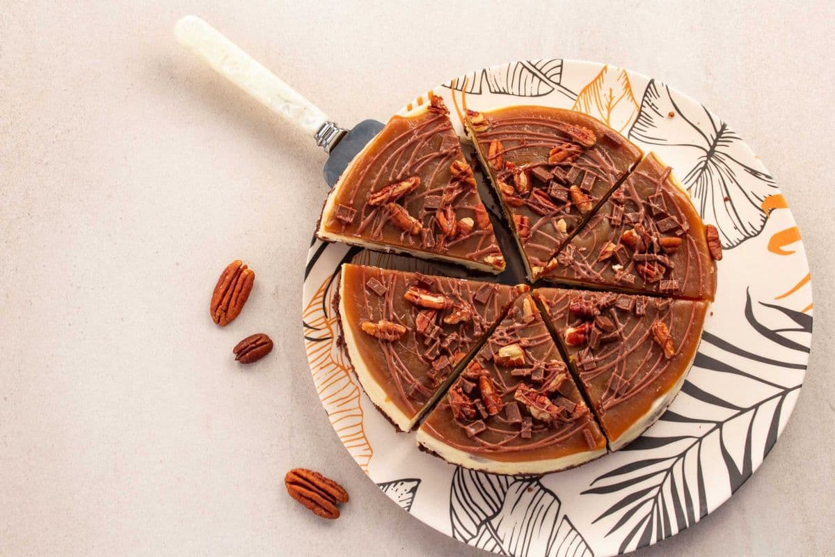 GF Turtle - Baby Cheesecake