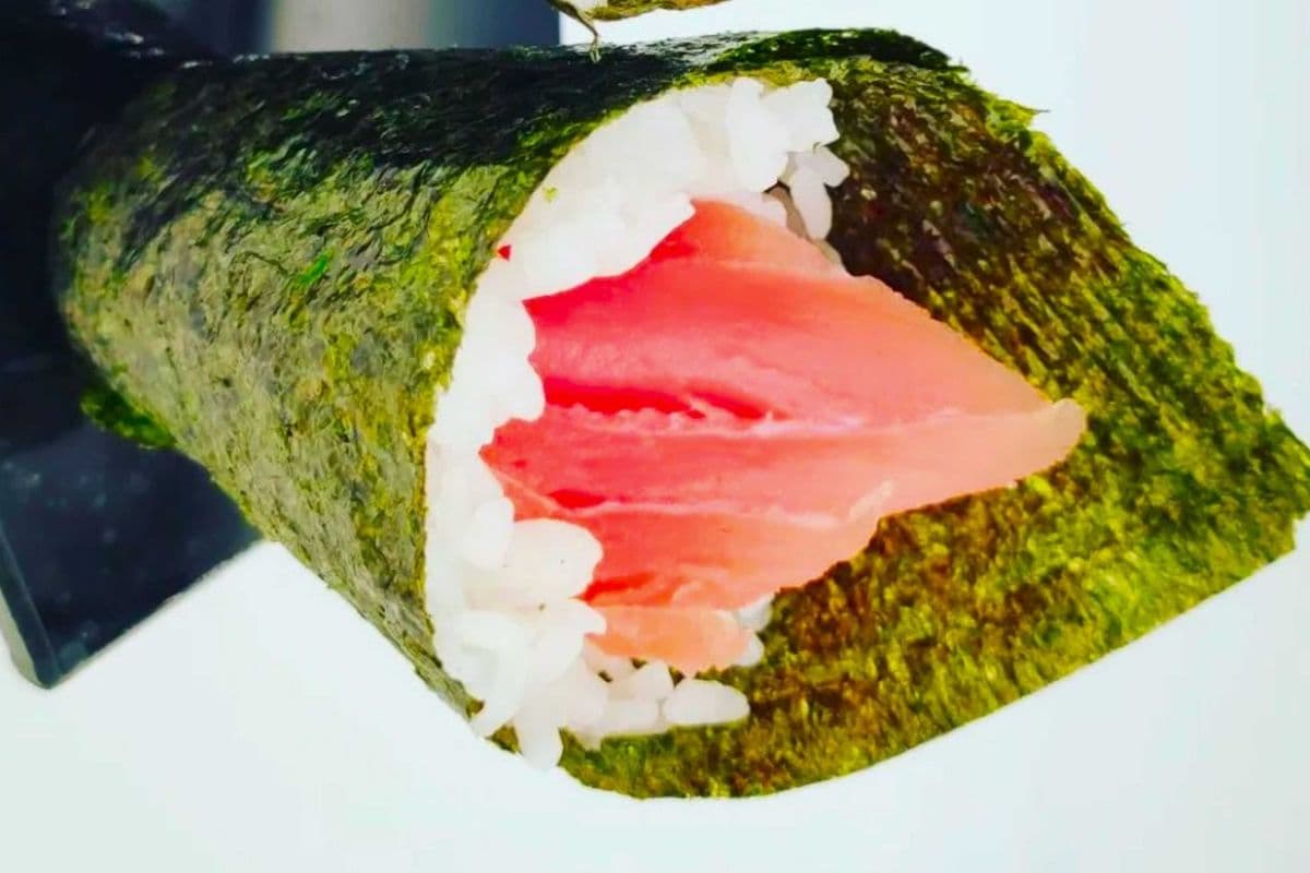 Tuna cone