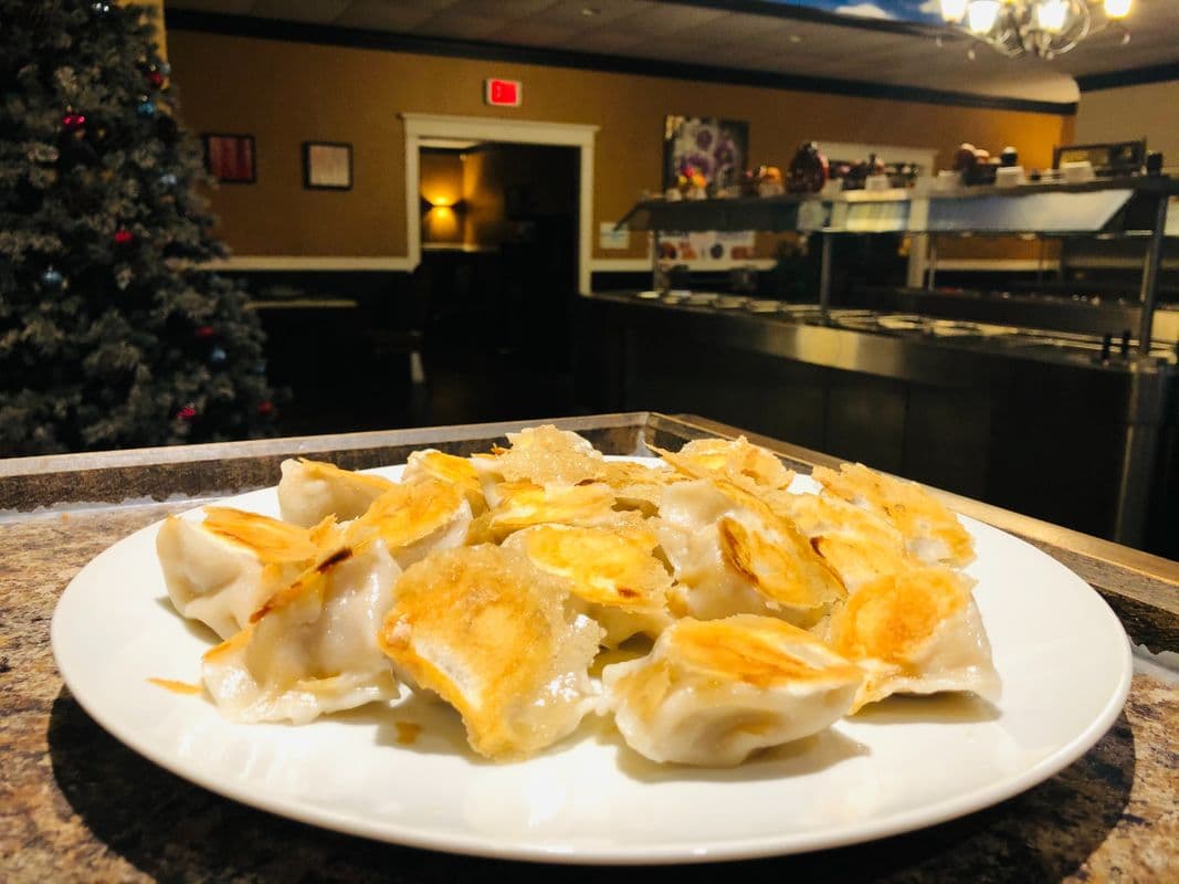 Pan-Fried Pork Dumplings (14 pcs)