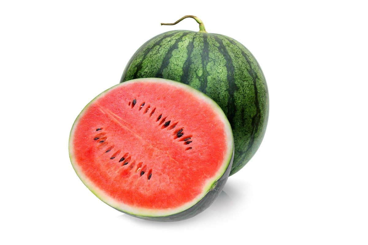 Mini Watermelon