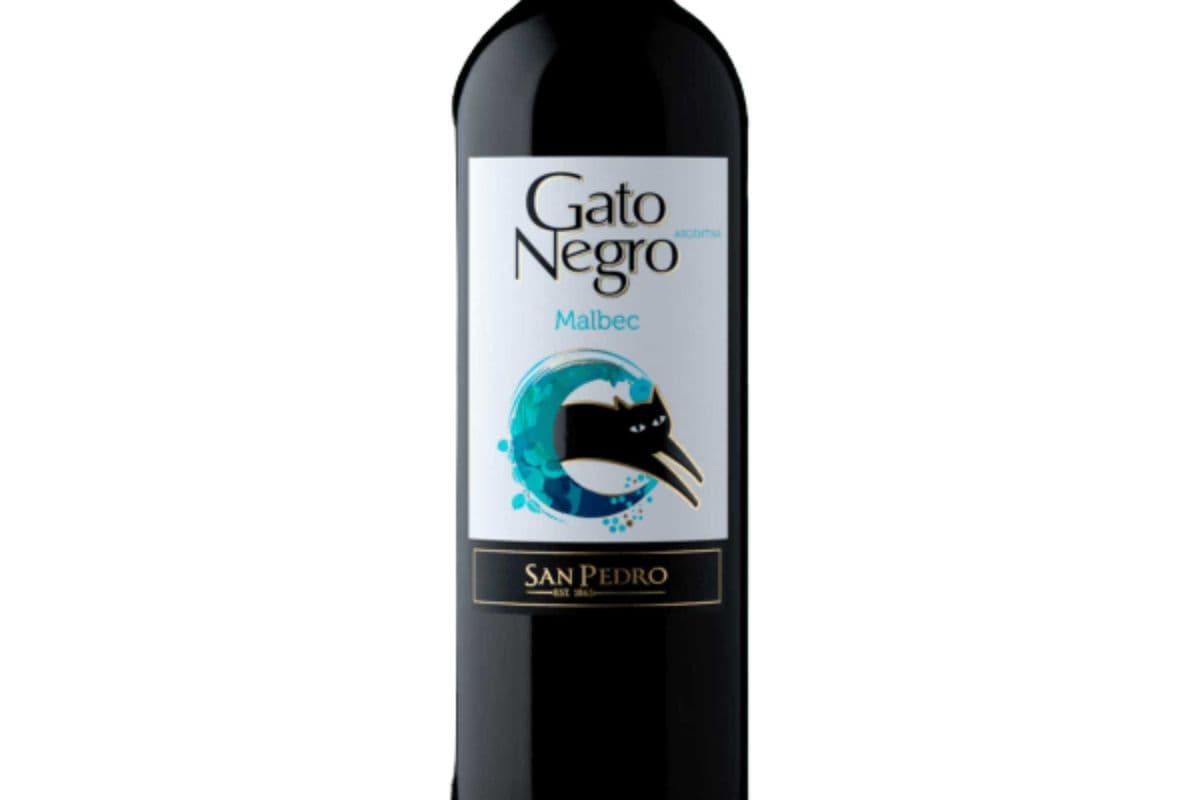 Gato Negro Malbec (1 x 750 ml)