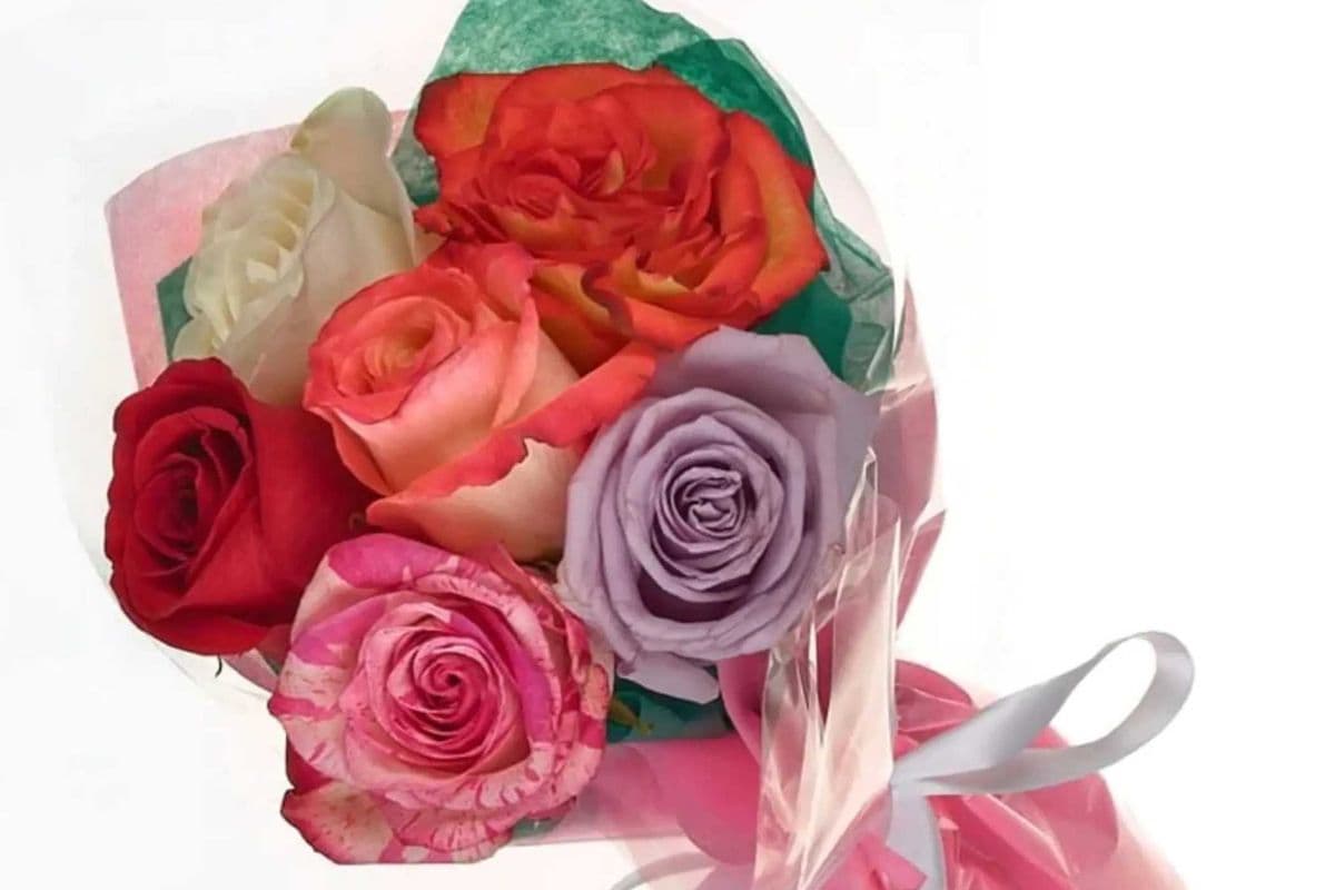 Six Assorted Roses Wrapped
