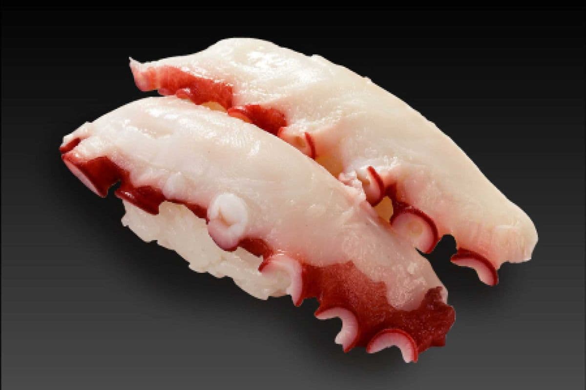 Octopus (Tako)
