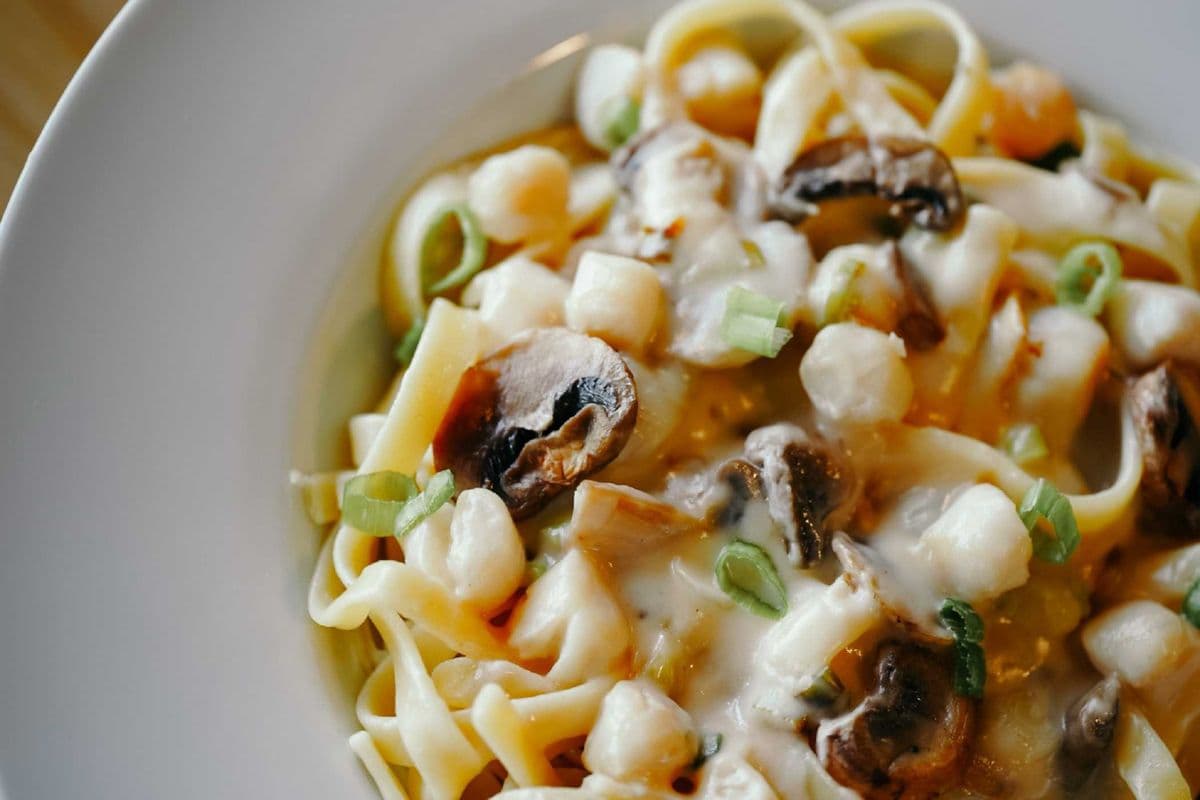 Regular Alfredo Scallop Pasta