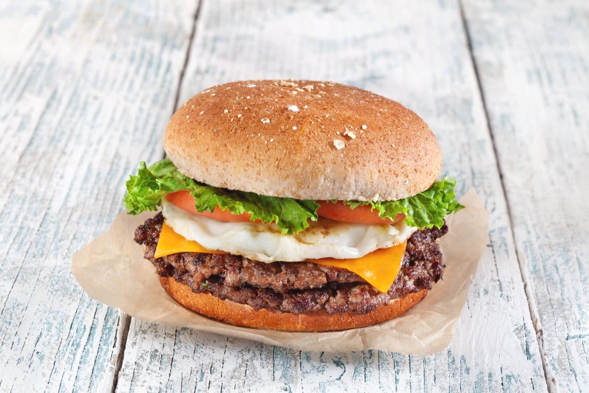 DHK Bison Burger (740 Cal)