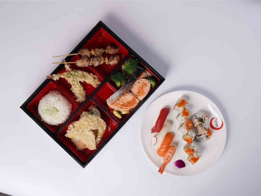Taiga Box Salmon
