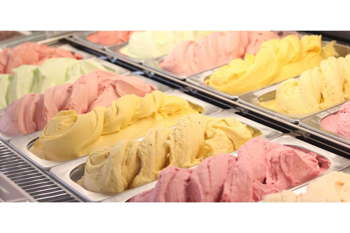 Large Size - Gelato