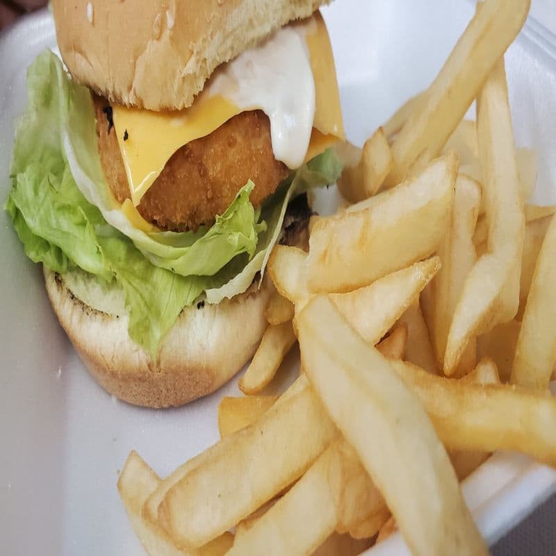 Chicken Burger (Indus special)