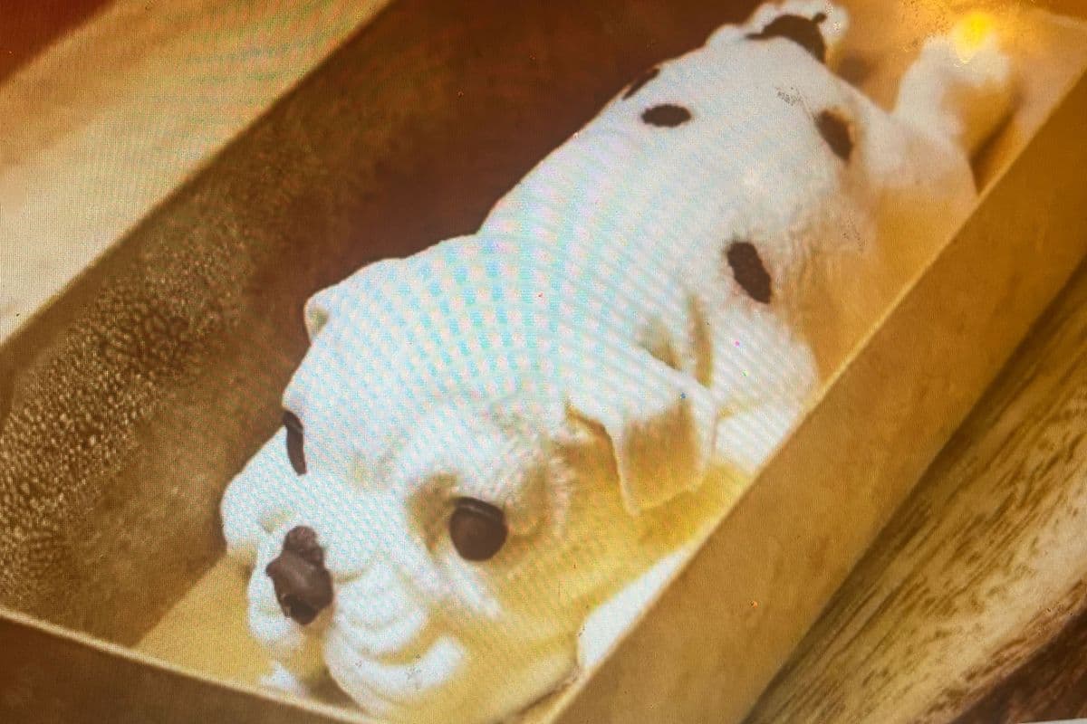 Yogurt Mousse White Dogs酸奶白狗慕斯 (1pc)