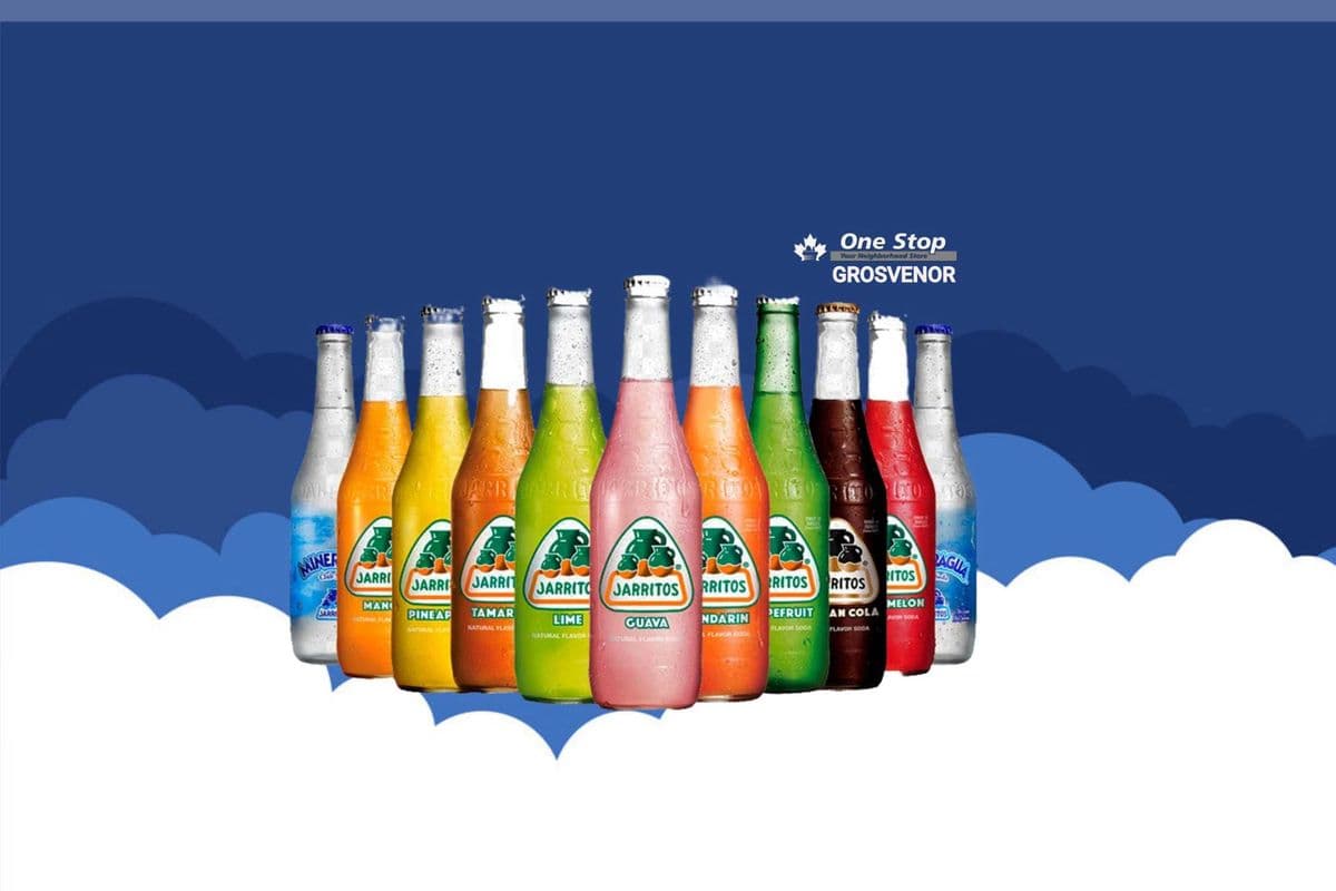 JARRITOS (355ml)